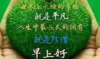 一夜入冬的经典语录