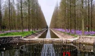 上海孙桥现代农业园