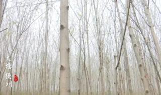 滞销宝贝怎么处理