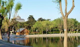 长春动植物公园门票