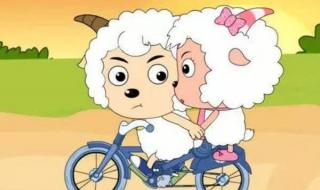 喜羊羊和美羊羊关系